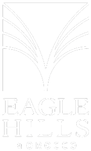 Client SEEB logo Eagle-Hills-Abu-Dhabi-Logo-white